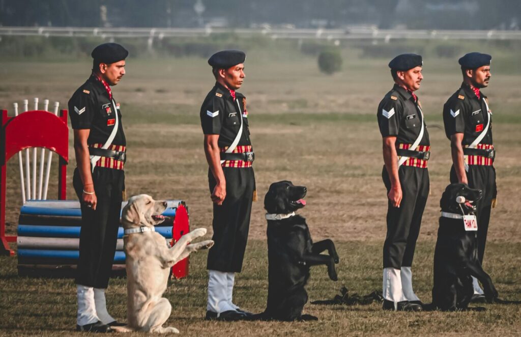 Soldiers and trained dogs perform in a military parade in Kolkata. Urban backdrop adds context.